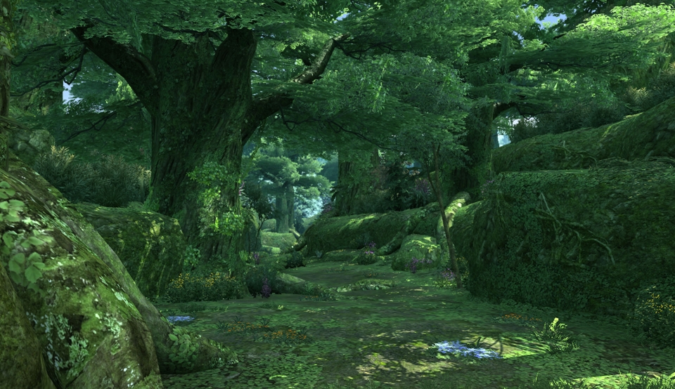 pso2-forest.jpg
