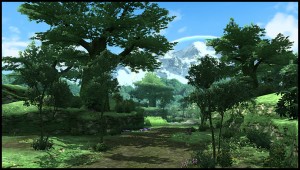 Random field pso2