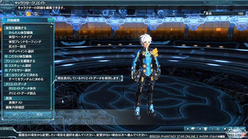 pso2 character creation accessories