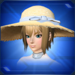 麦わら帽子Straw Hat